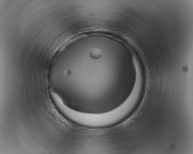 X0000116010977200912101337