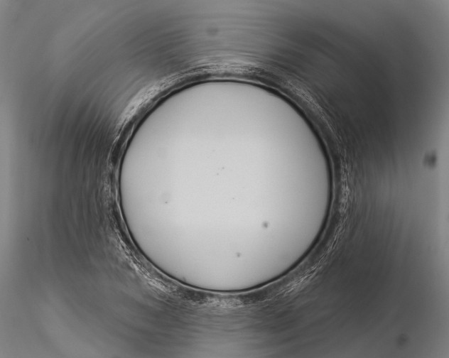 X0000116010978200912101337