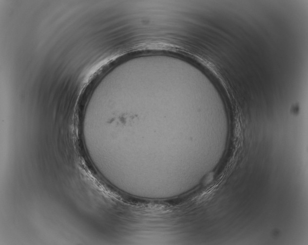 X0000116010979200912101337