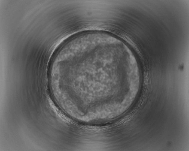 X0000116010980200912101337