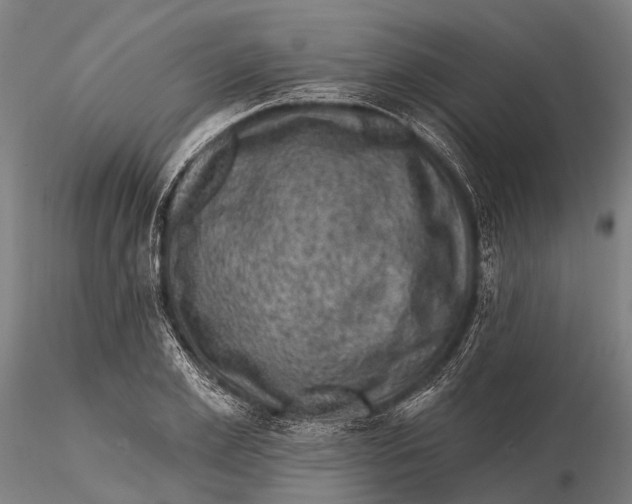 X0000116010981200912101337