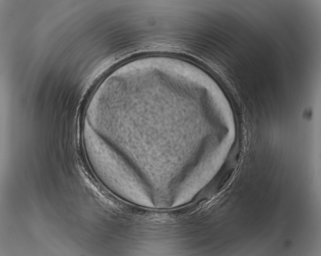 X0000116010982200912101337