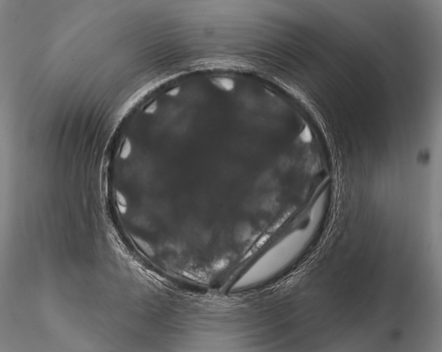 X0000116010983200912101337