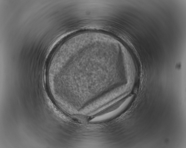 X0000116010984200912101337