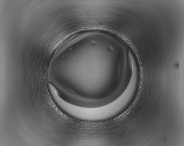 X0000116010985200912101337