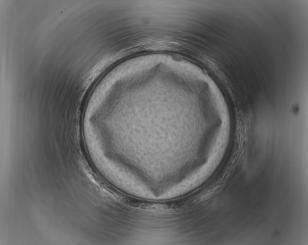 X0000116010986200912101337