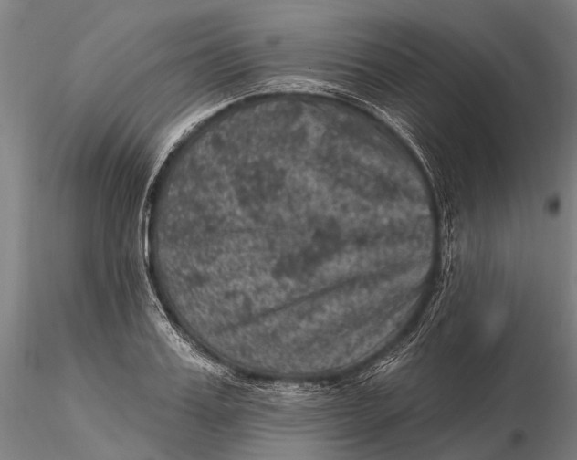 X0000116010987200912101337