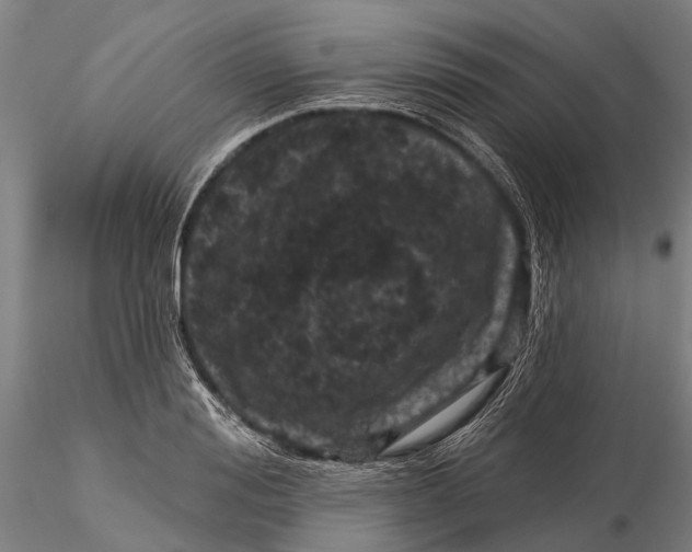 X0000116010988200912101337