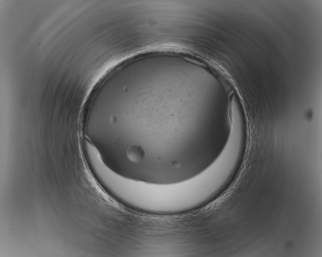 X0000116010989200912101337