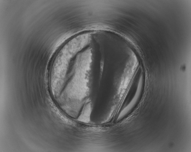 X0000116010990200912101337