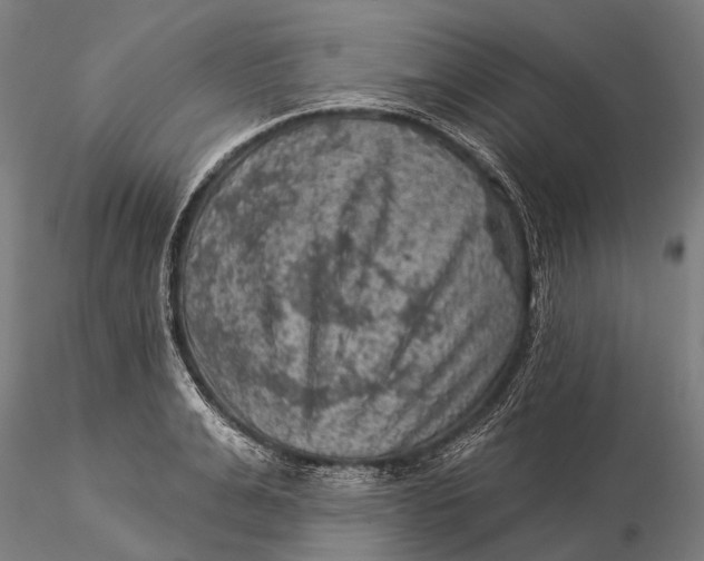 X0000116010991200912101337