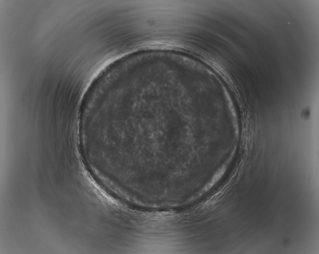 X0000116010992200912101337