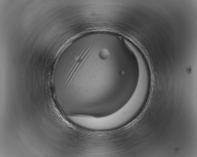 X0000116010993200912101337