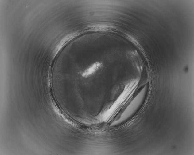 X0000116010994200912101337