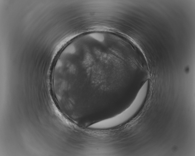 X0000116010995200912101337