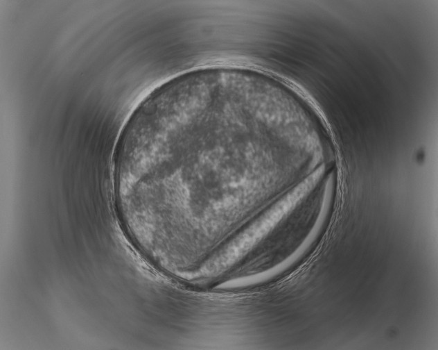 X0000116010996200912101337