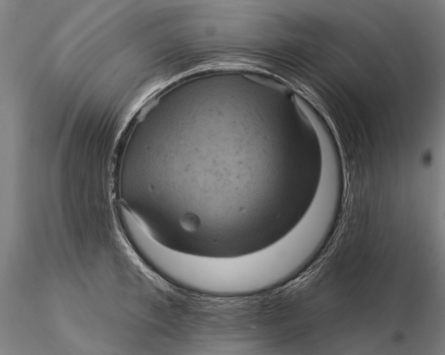 X0000116010997200912101337