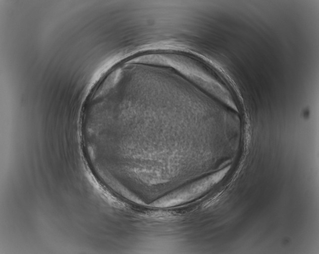 X0000116010998200912101337