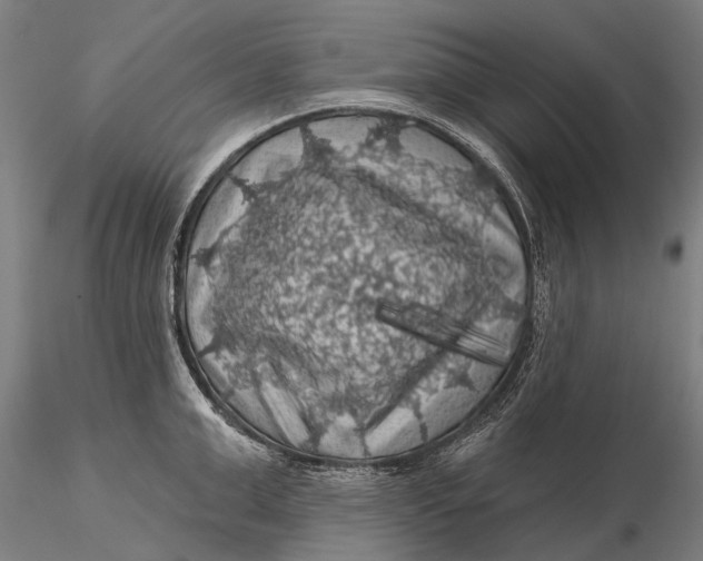 X0000116010999200912101337