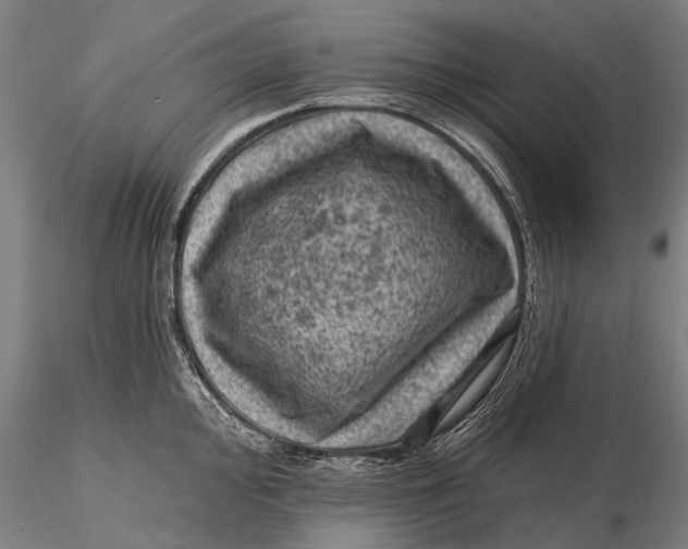 X0000116011000200912101337