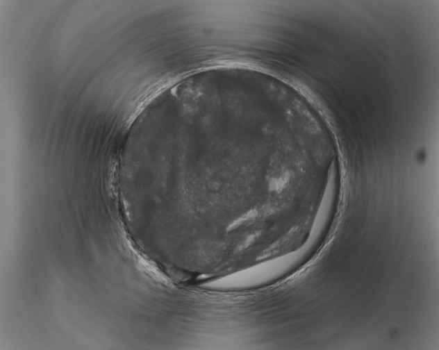 X0000116011001200912101337