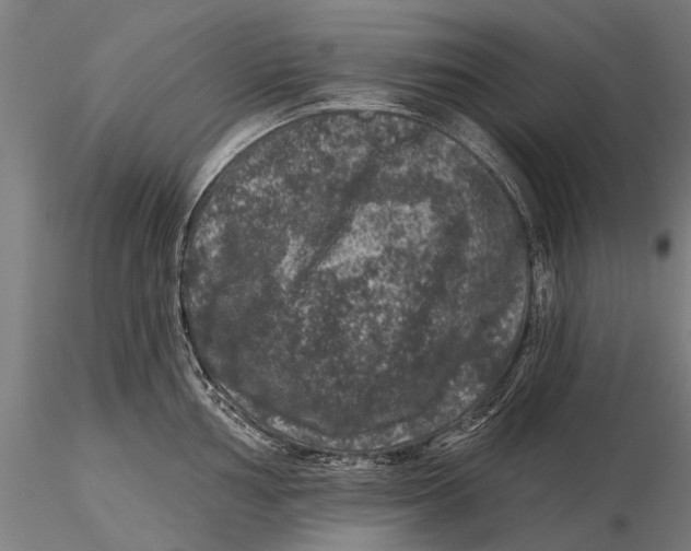 X0000116011002200912101337