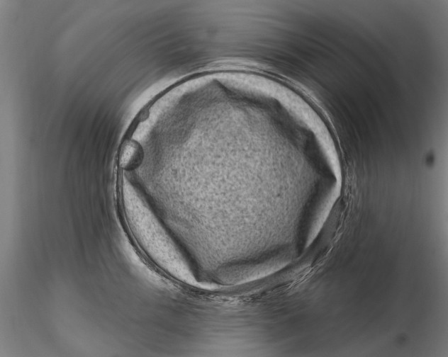 X0000116011003200912101337