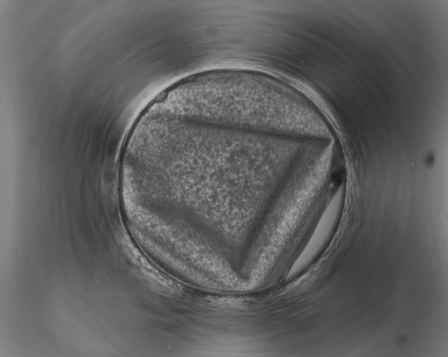 X0000116011004200912101337