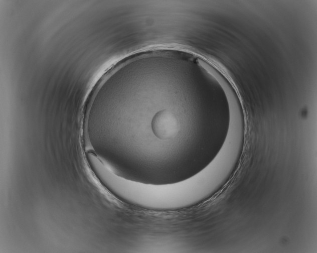 X0000116011005200912101337