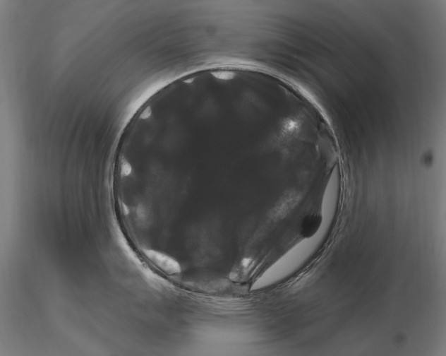 X0000116011007200912101337