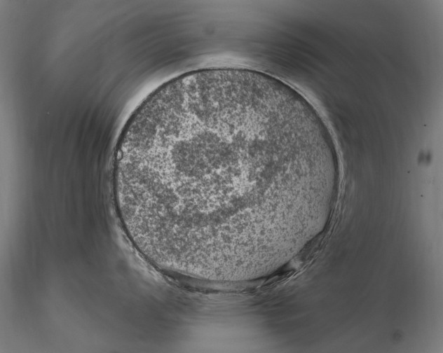 X0000116011008200912101337