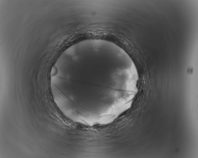 X0000116011009200912101336