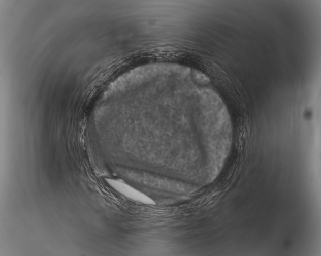 X0000116011010200912101336