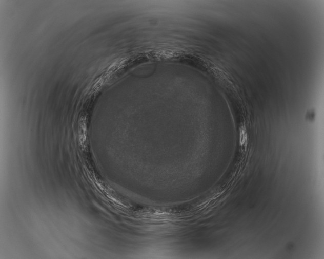 X0000116011011200912101336