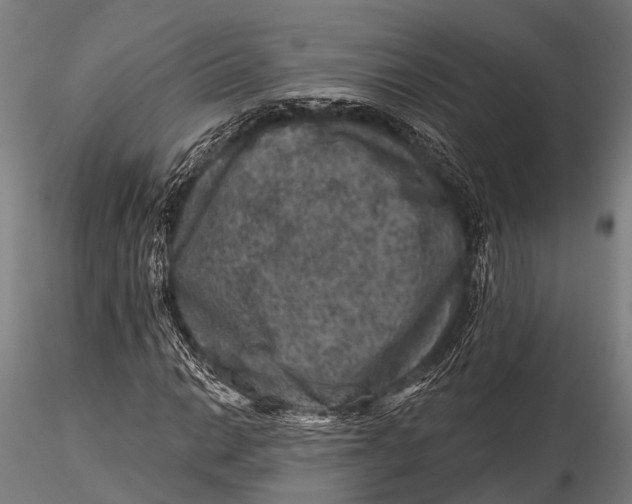 X0000116011014200912101336