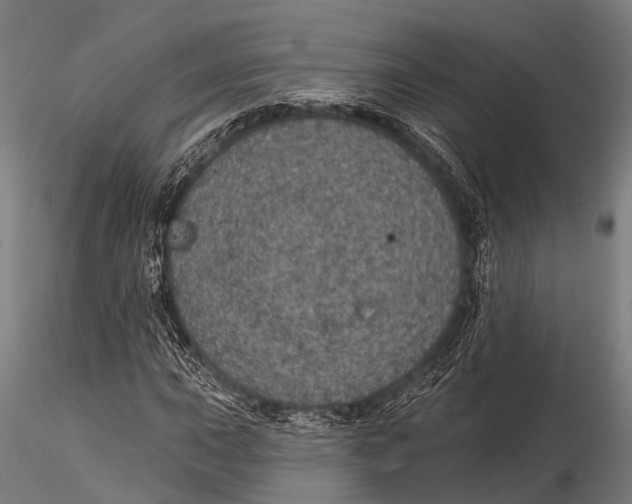 X0000116011015200912101336