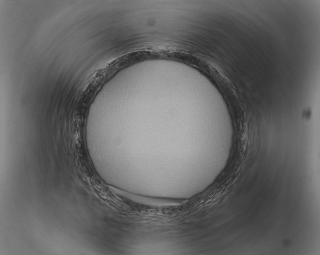 X0000116011016200912101336