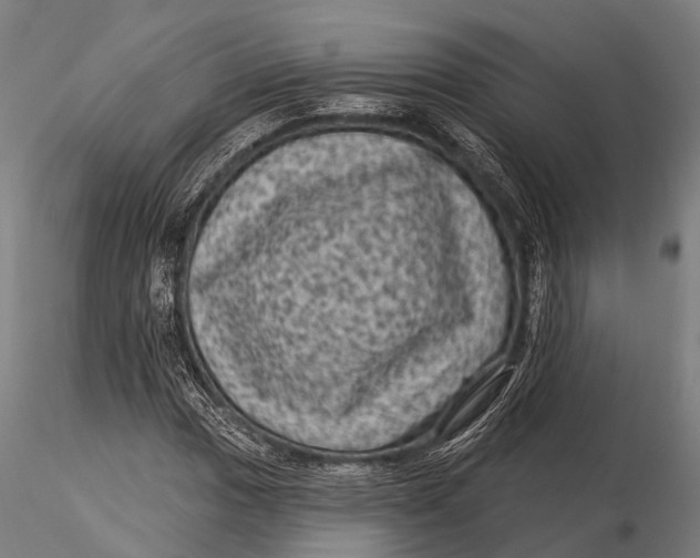 X0000116011017200912101336