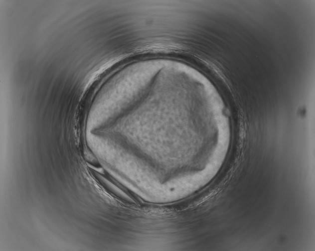 X0000116011018200912101336