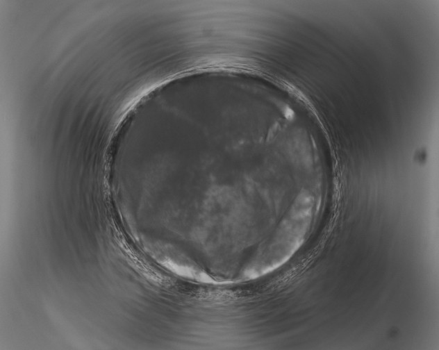 X0000116011019200912101336