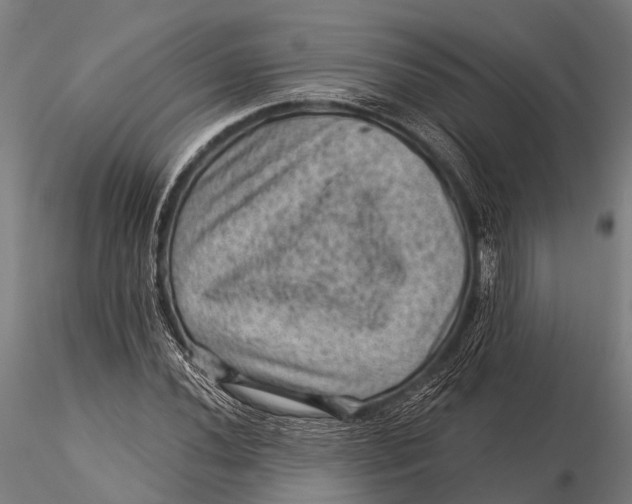 X0000116011020200912101336