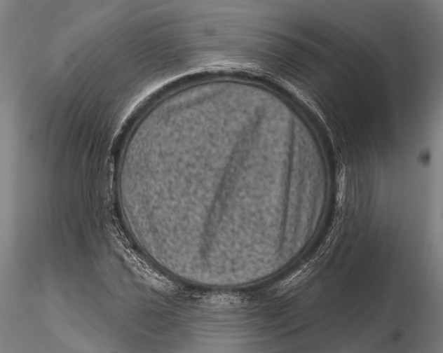 X0000116011021200912101336