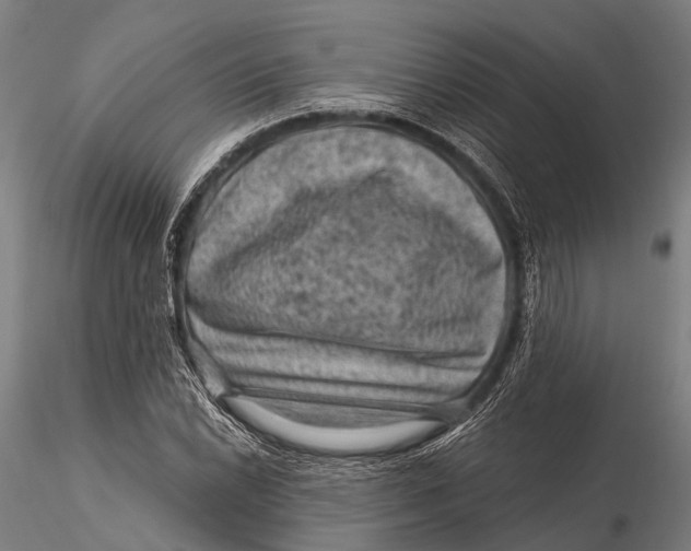 X0000116011022200912101336