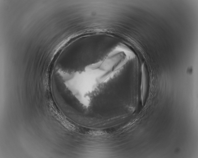 X0000116011023200912101336