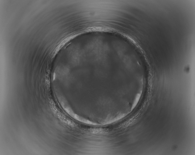 X0000116011025200912101336