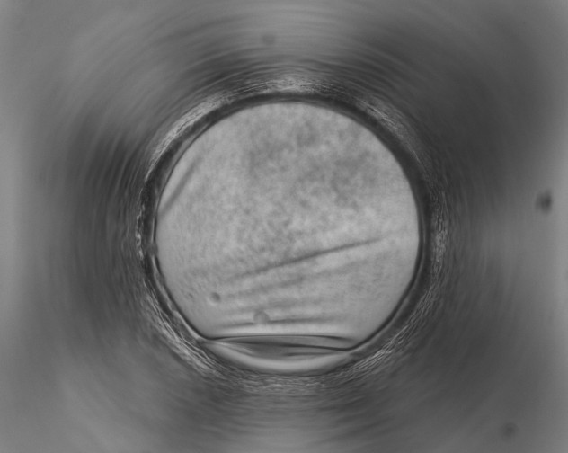 X0000116011026200912101336