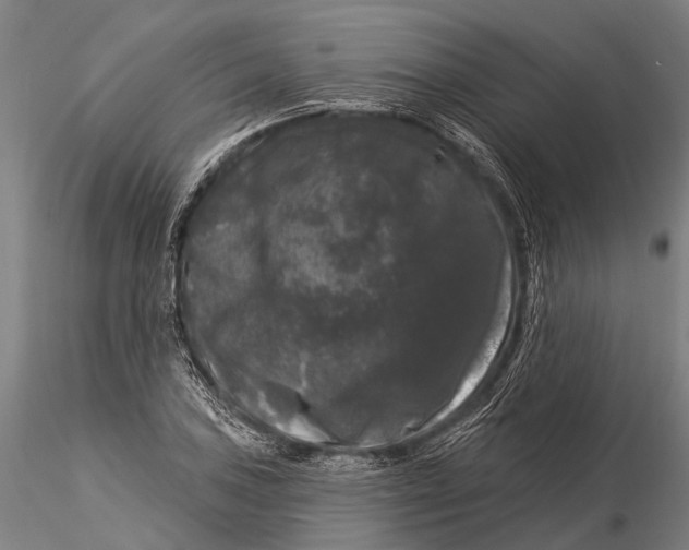 X0000116011027200912101336