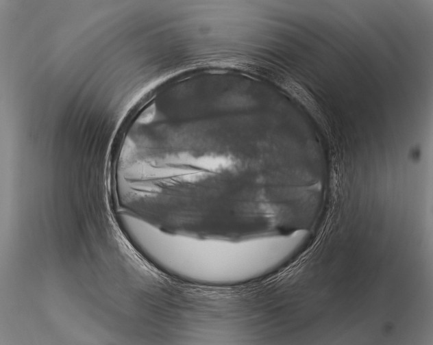 X0000116011028200912101336