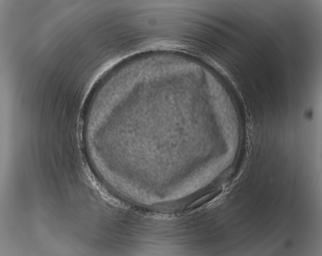 X0000116011029200912101336