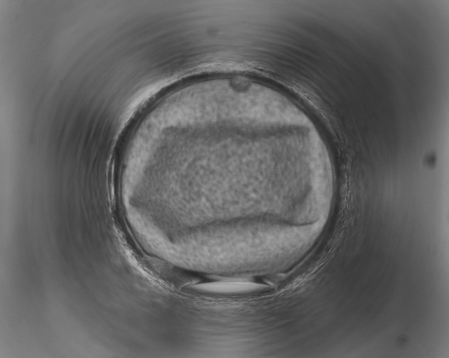 X0000116011030200912101336